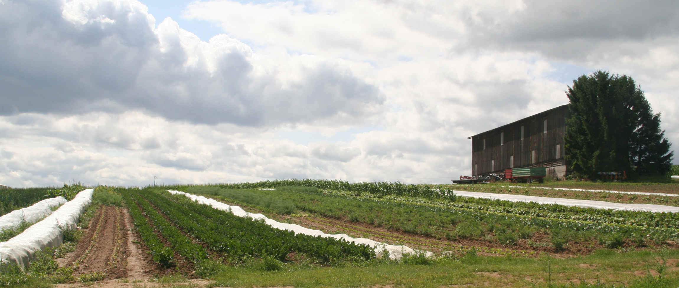 Les Saveurs De Kienheim