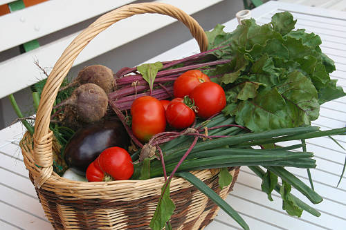 Un exemple de panier.